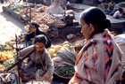 Nepal 101285.jpg